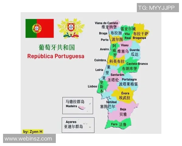 西班牙与葡萄牙在南非的激烈对决回顾与分析